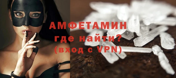 молекула духа Кущёвская