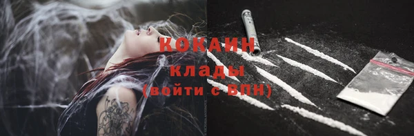 дмт Дмитров