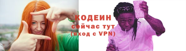 дмт Дмитров