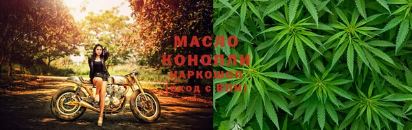 дмт Дмитров