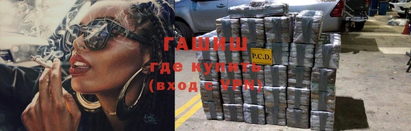 дмт Дмитров