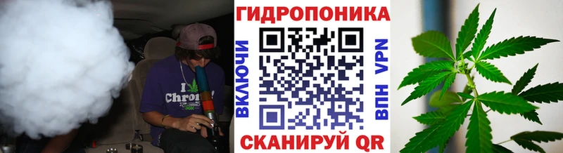 цена   Невель  Канабис White Widow 